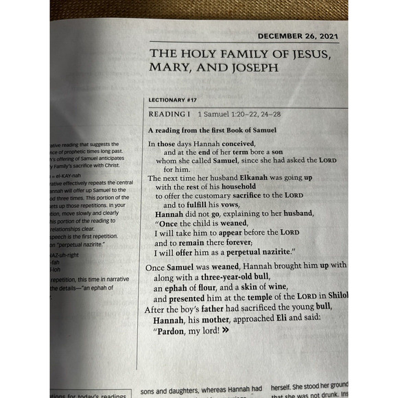 Workbook for Lectors, Gospel Readers & Proclaimers of the Word 2020 & 2022 - Picture 9 of 11